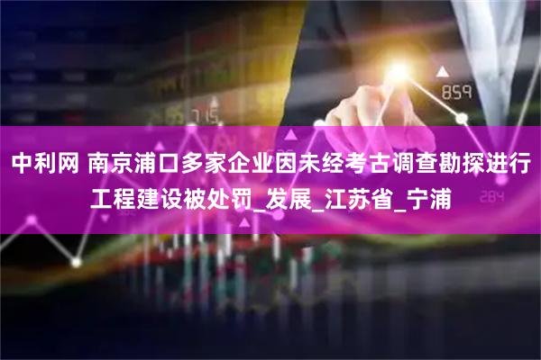 中利网 南京浦口多家企业因未经考古调查勘探进行工程建设被处罚_发展_江苏省_宁浦