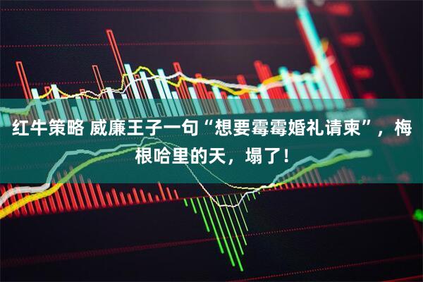 红牛策略 威廉王子一句“想要霉霉婚礼请柬”，梅根哈里的天，塌了！