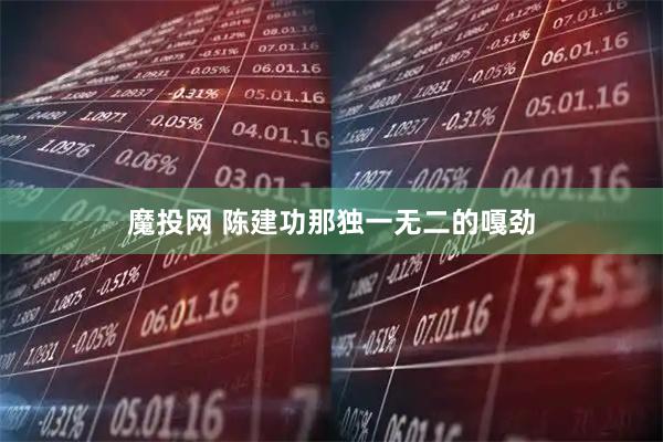 魔投网 陈建功那独一无二的嘎劲