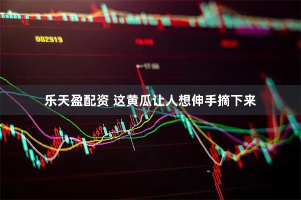 乐天盈配资 这黄瓜让人想伸手摘下来