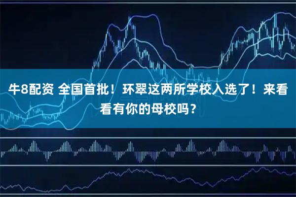 牛8配资 全国首批!环翠这两所学校入选了!来看看有你的母校吗?
